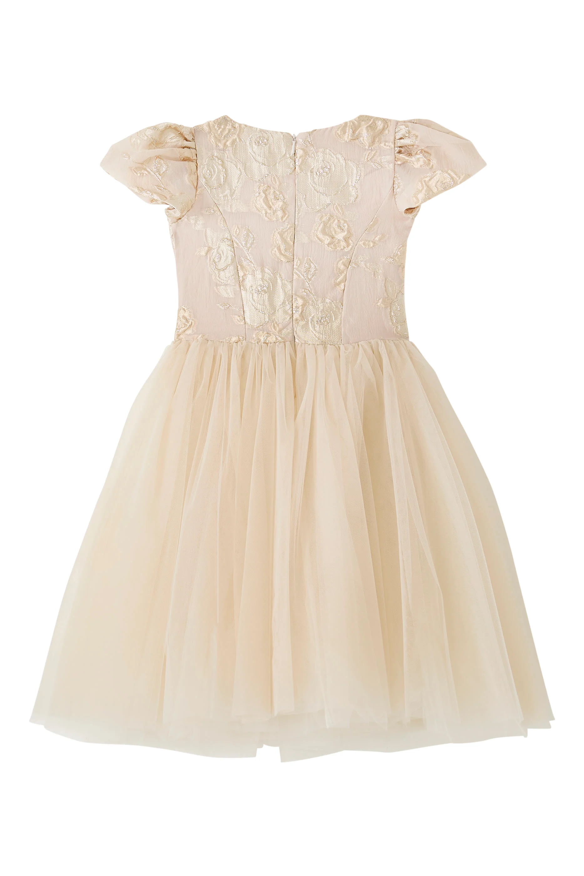 Princesse Jacquard Roses Dress