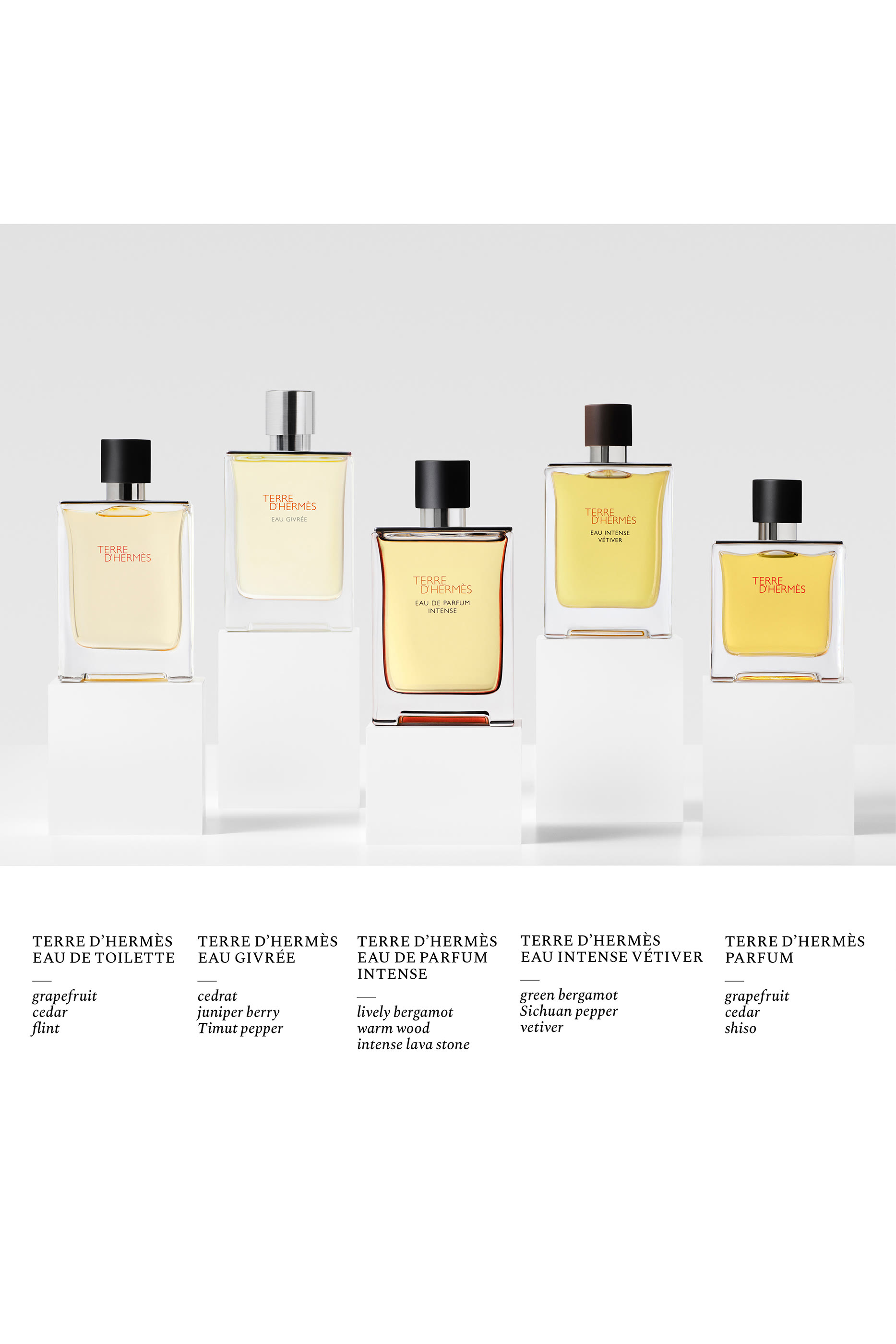 Terre d'Herm&egrave;s, Eau de Parfum Intense