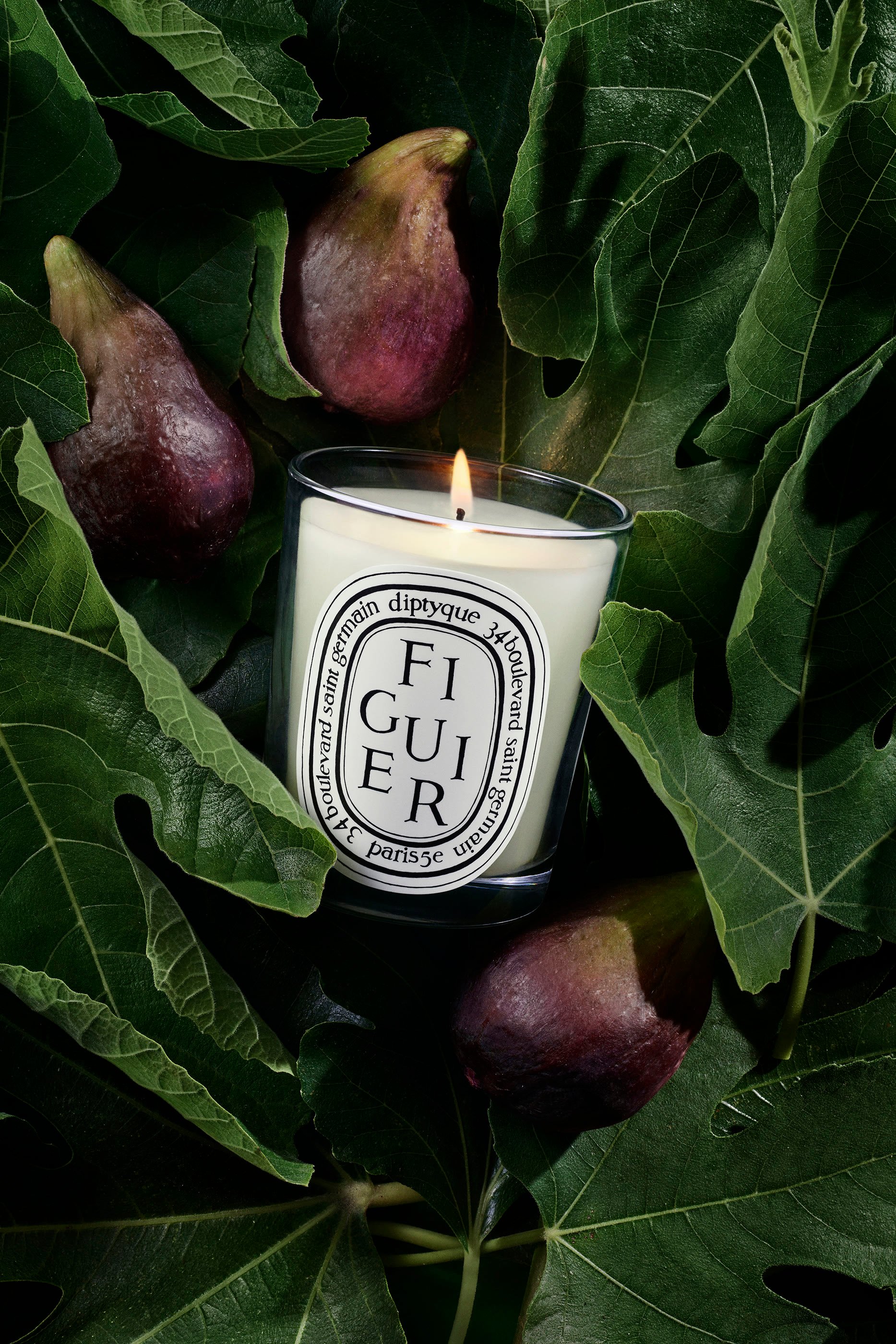 Figuier Candle
