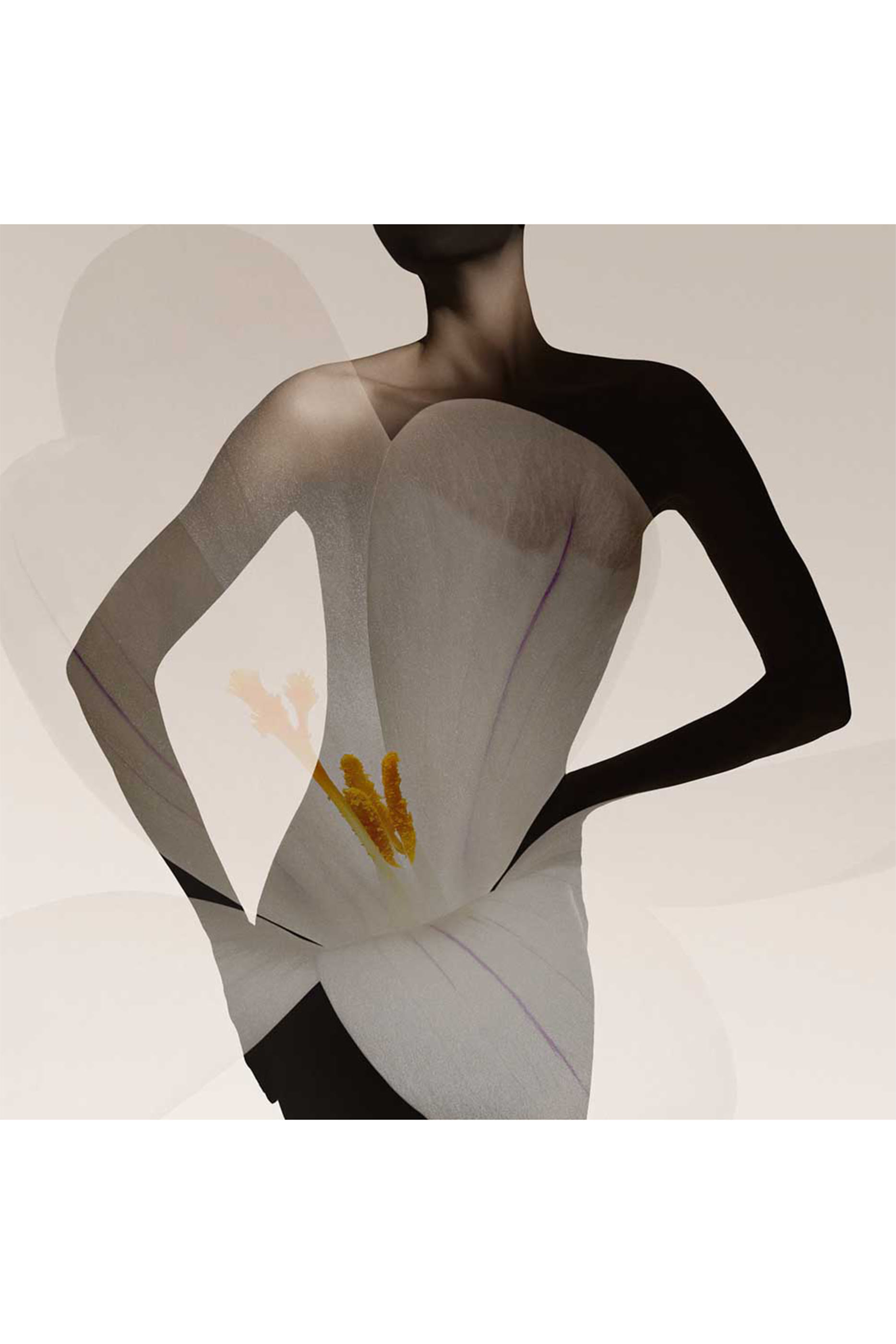 Priv&eacute; Oud Nacr&eacute; Eau de Parfum 