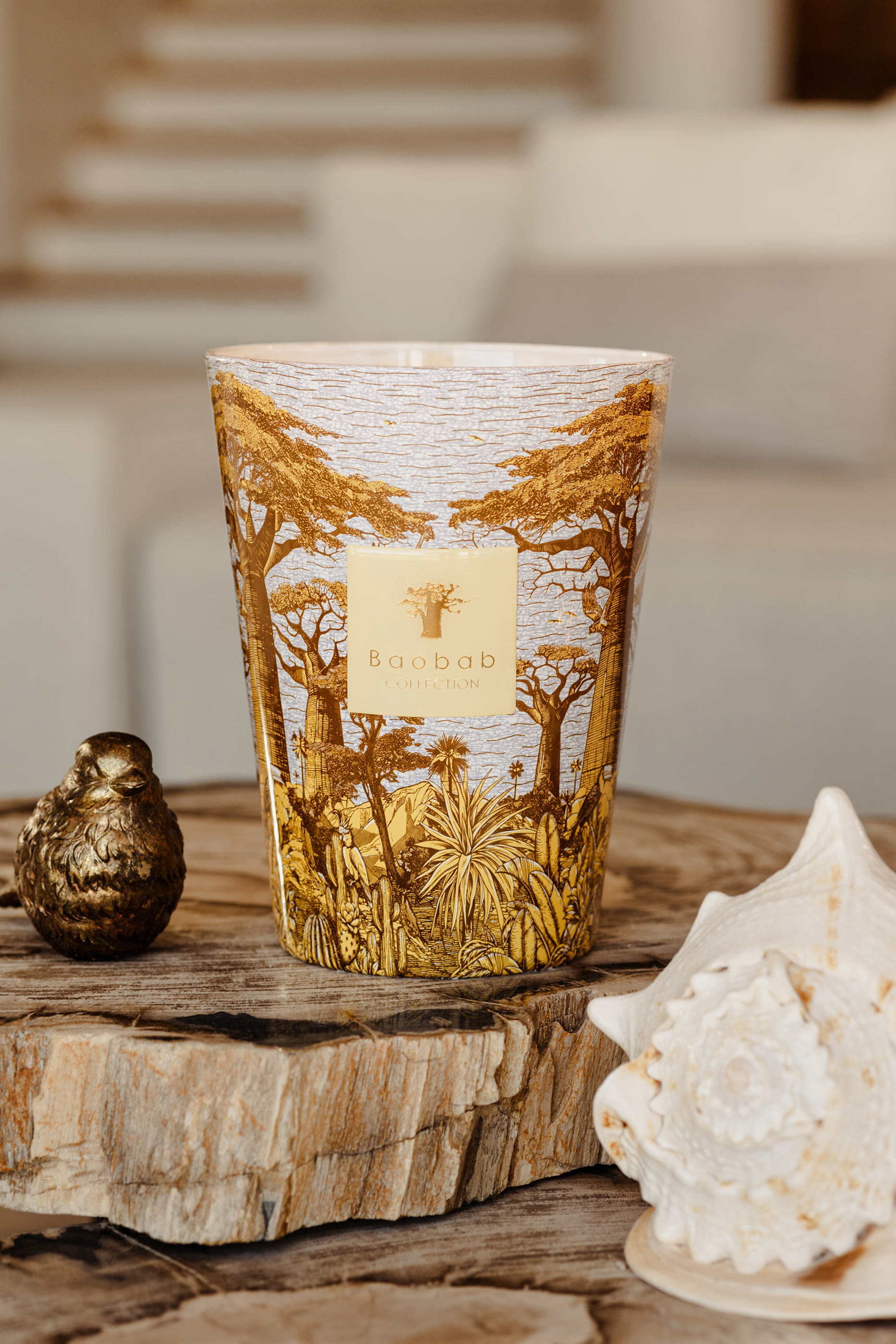 Max 10 Sacred Trees Cocody Candle 