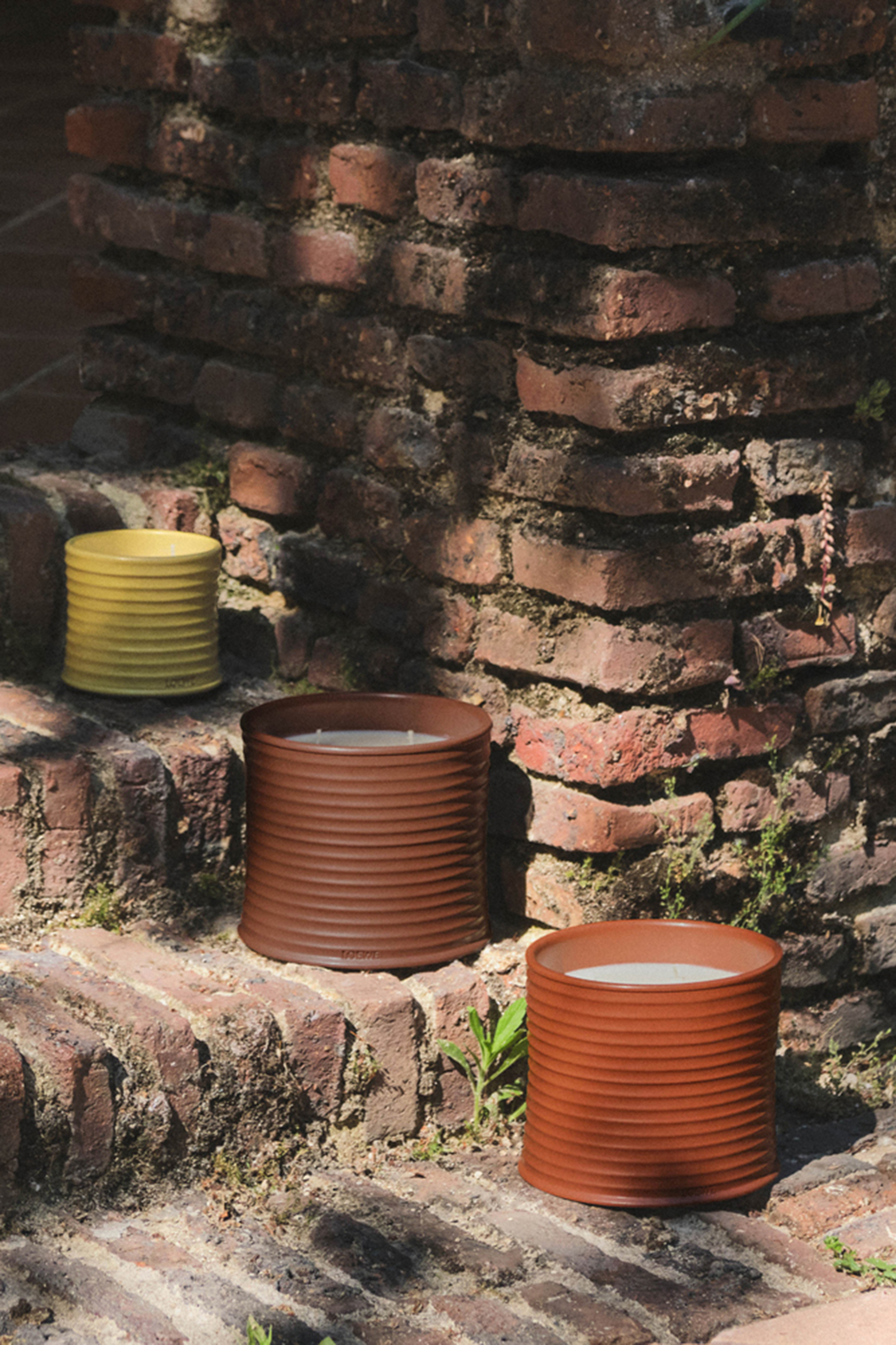 Juniper Berry Scented Candle