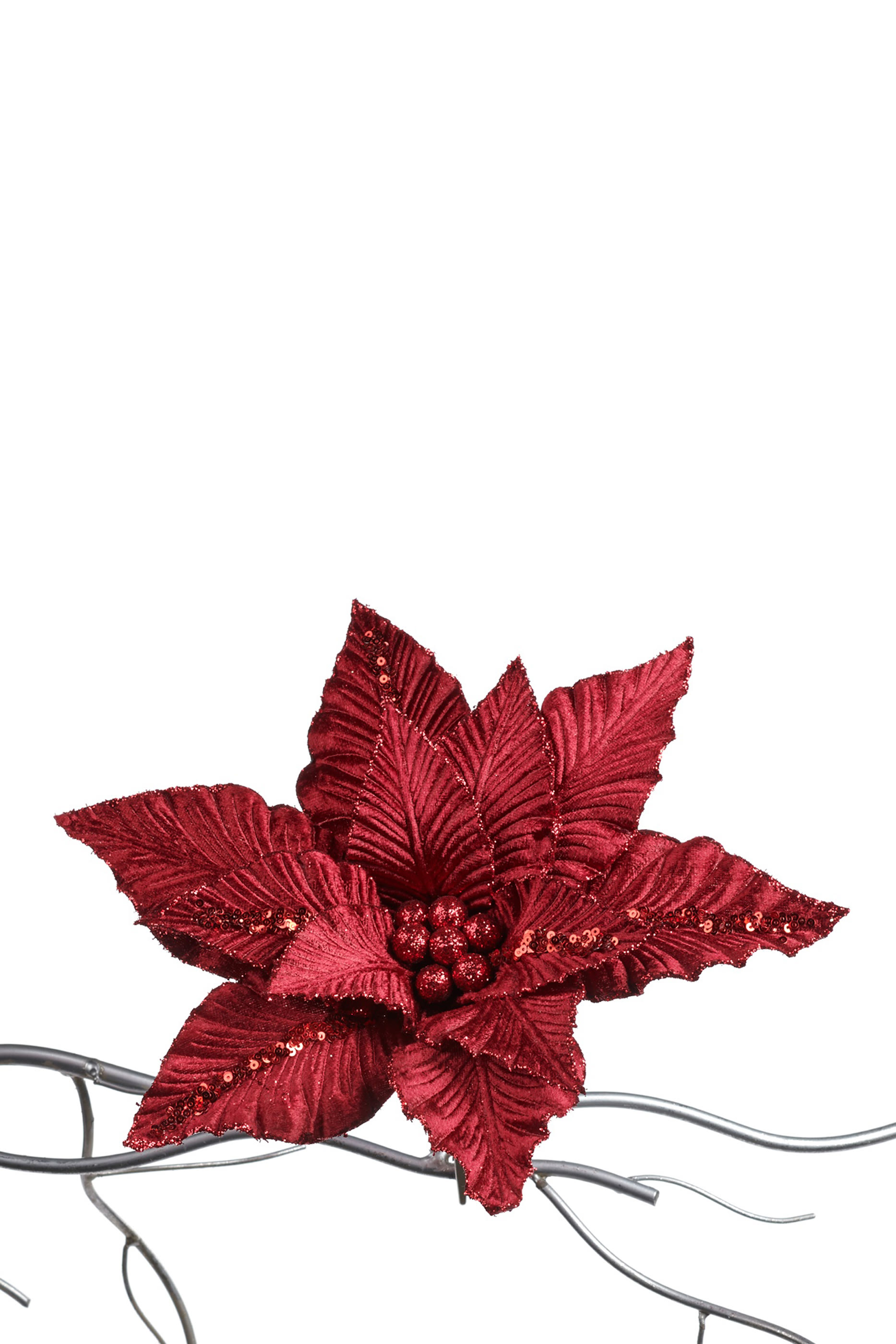 Poinsettia on Clip