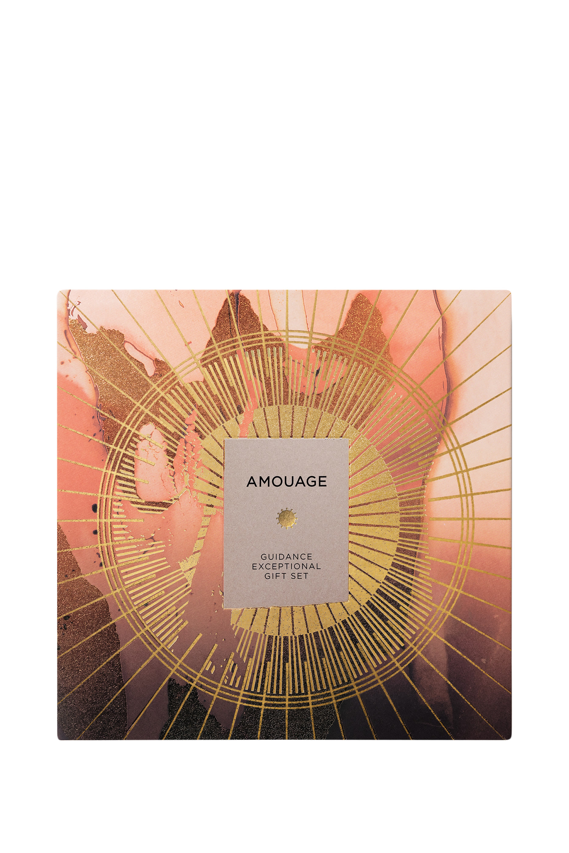 Guidance Exceptional Gift Set