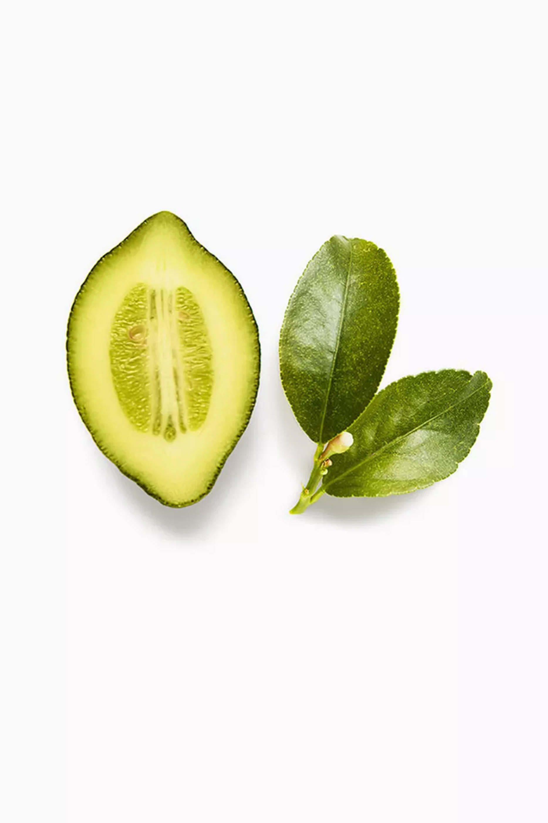 Acqua Di Gioia Eau De Parfum