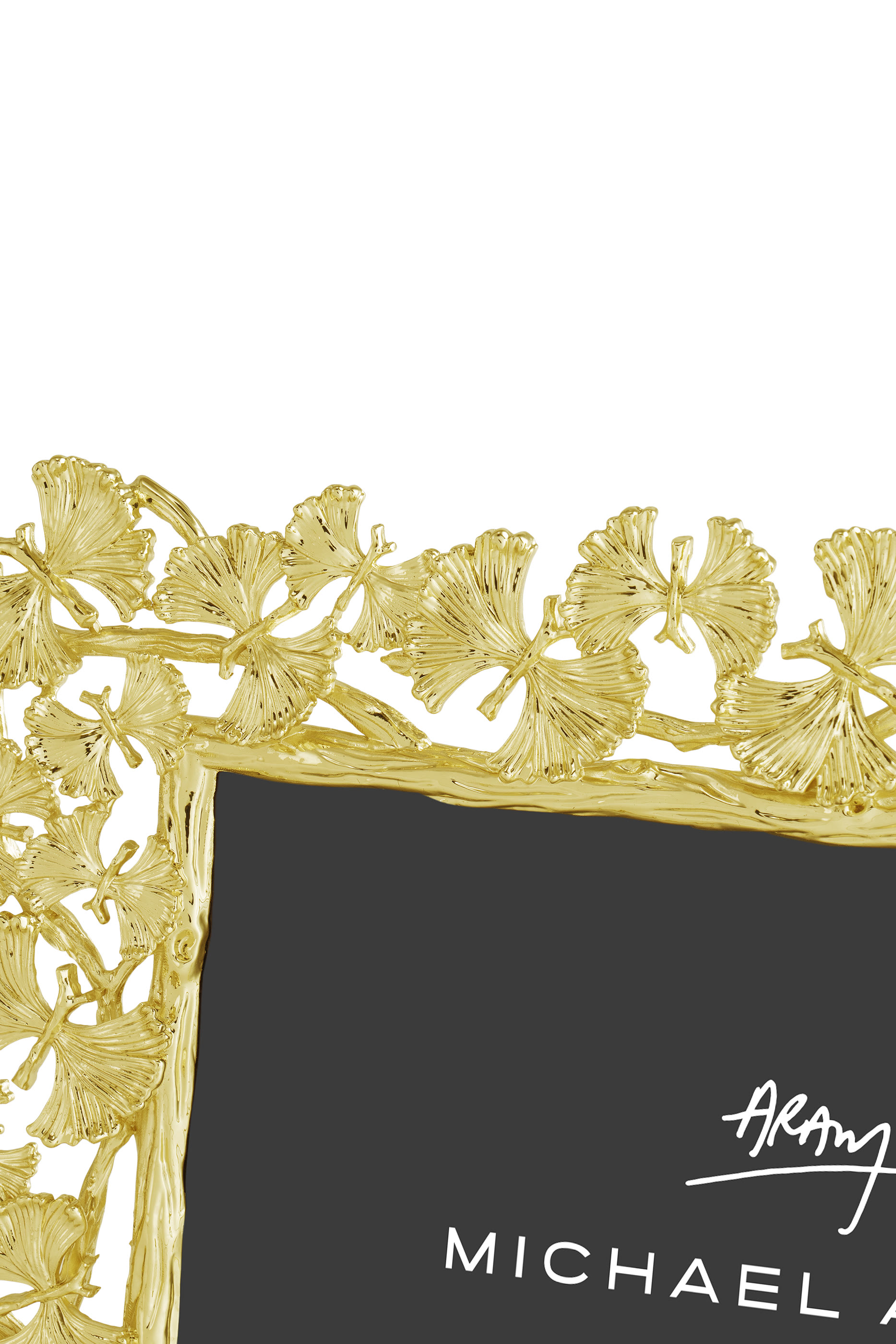 Butterfly Ginkgo 4x6