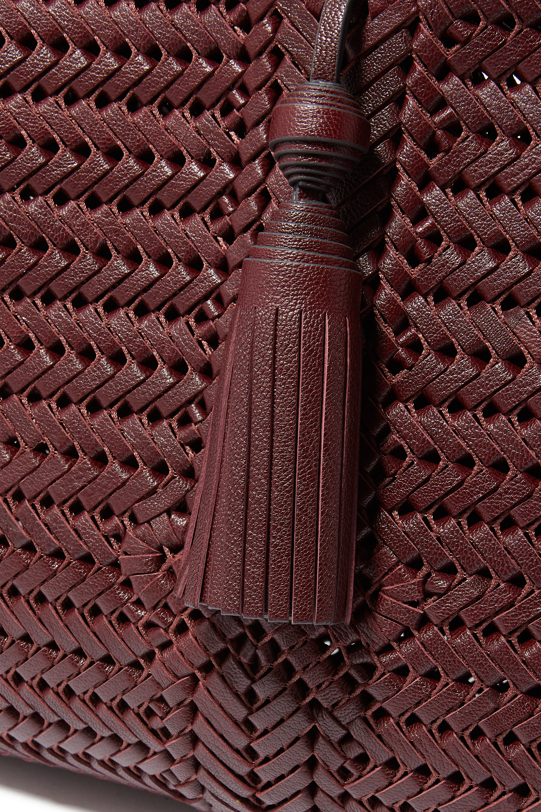 Neeson Tassel Hobo Bag