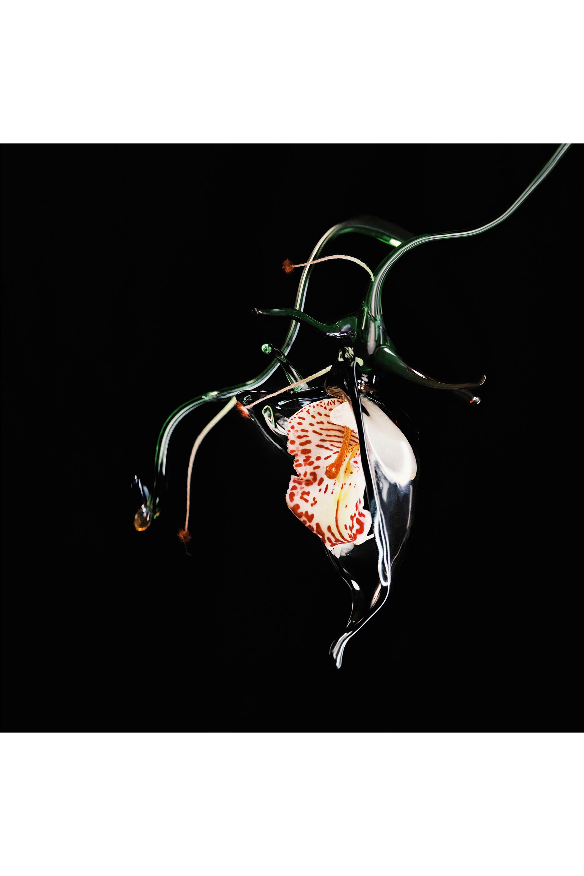 Gypsy Water Absolu de Parfum