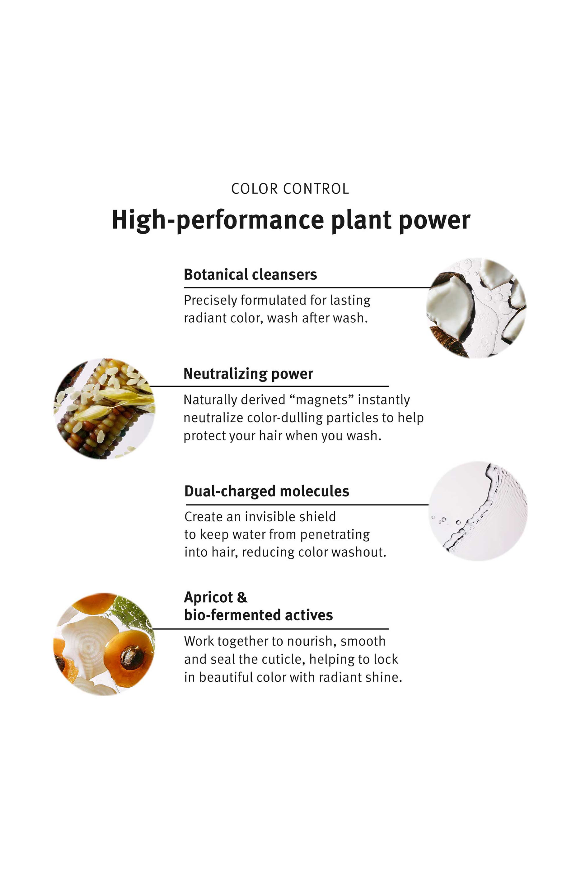 Color Control Shampoo