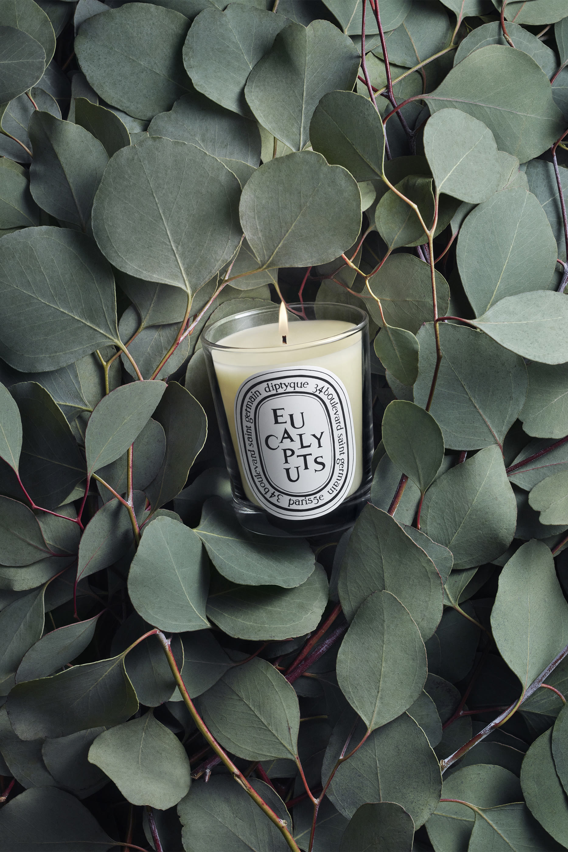 Eucalyptus Candle