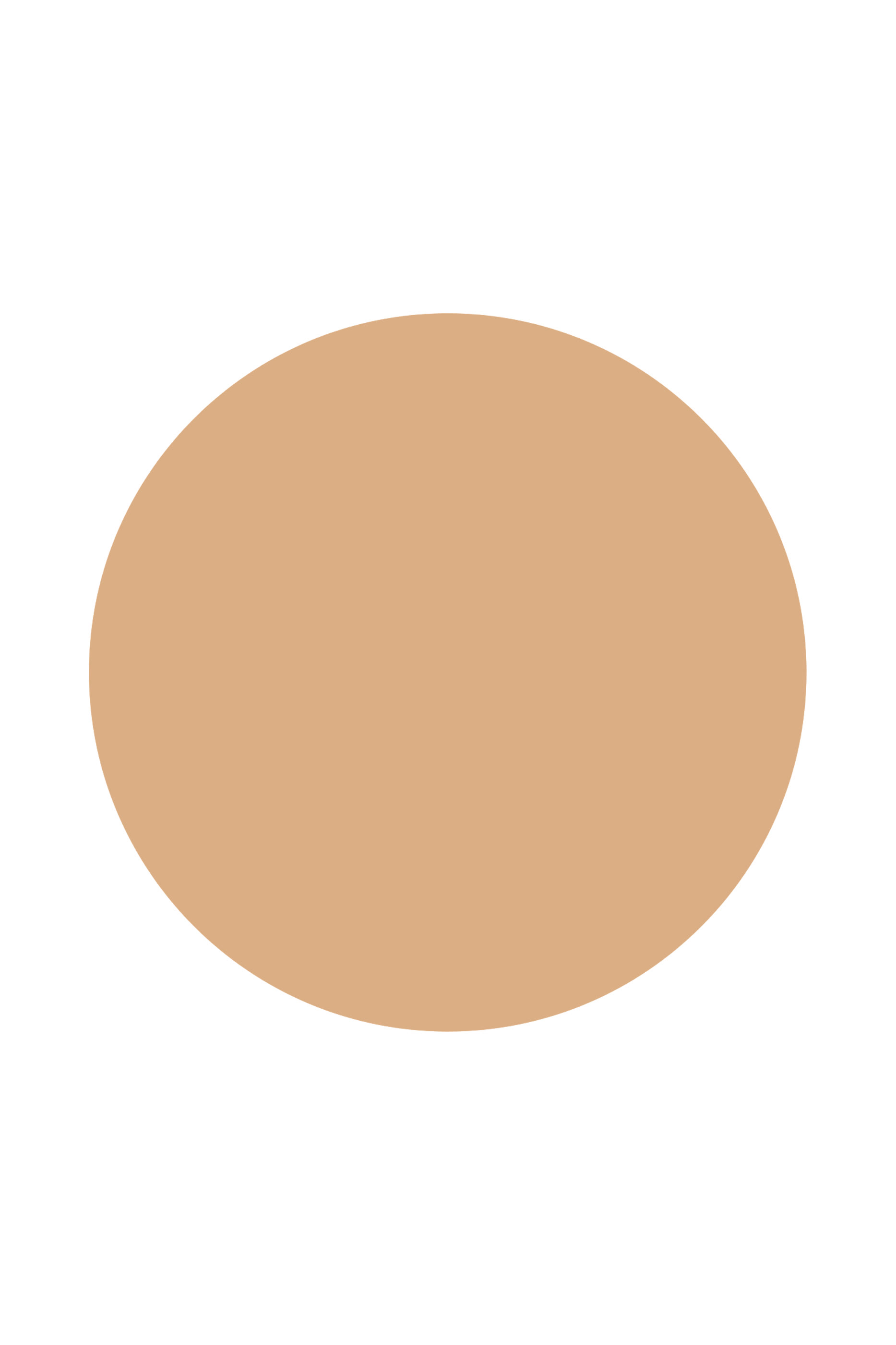 Parure Gold Skin Control Compact Powder