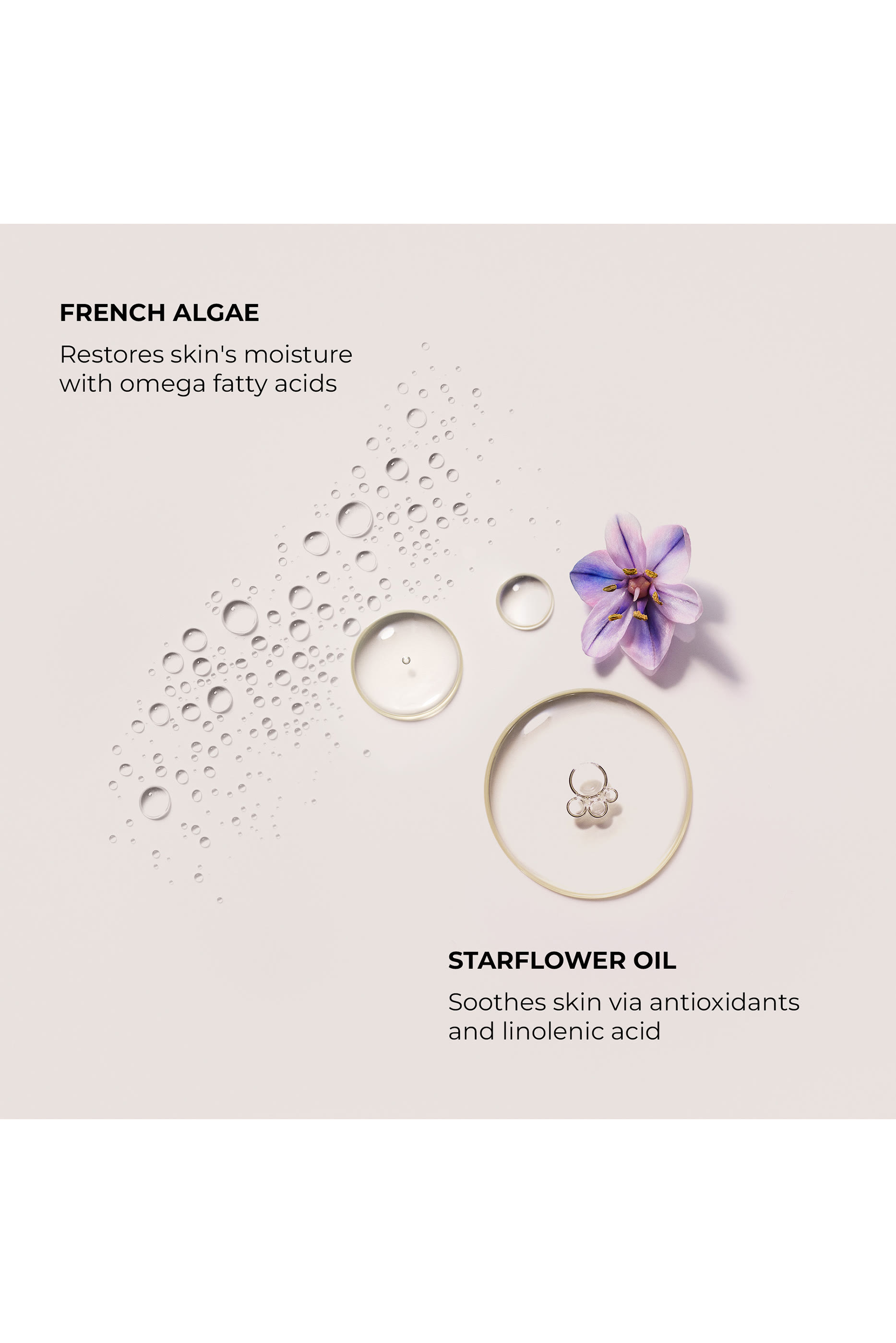 Ambre Vanille Serum Body Cream, 200ml