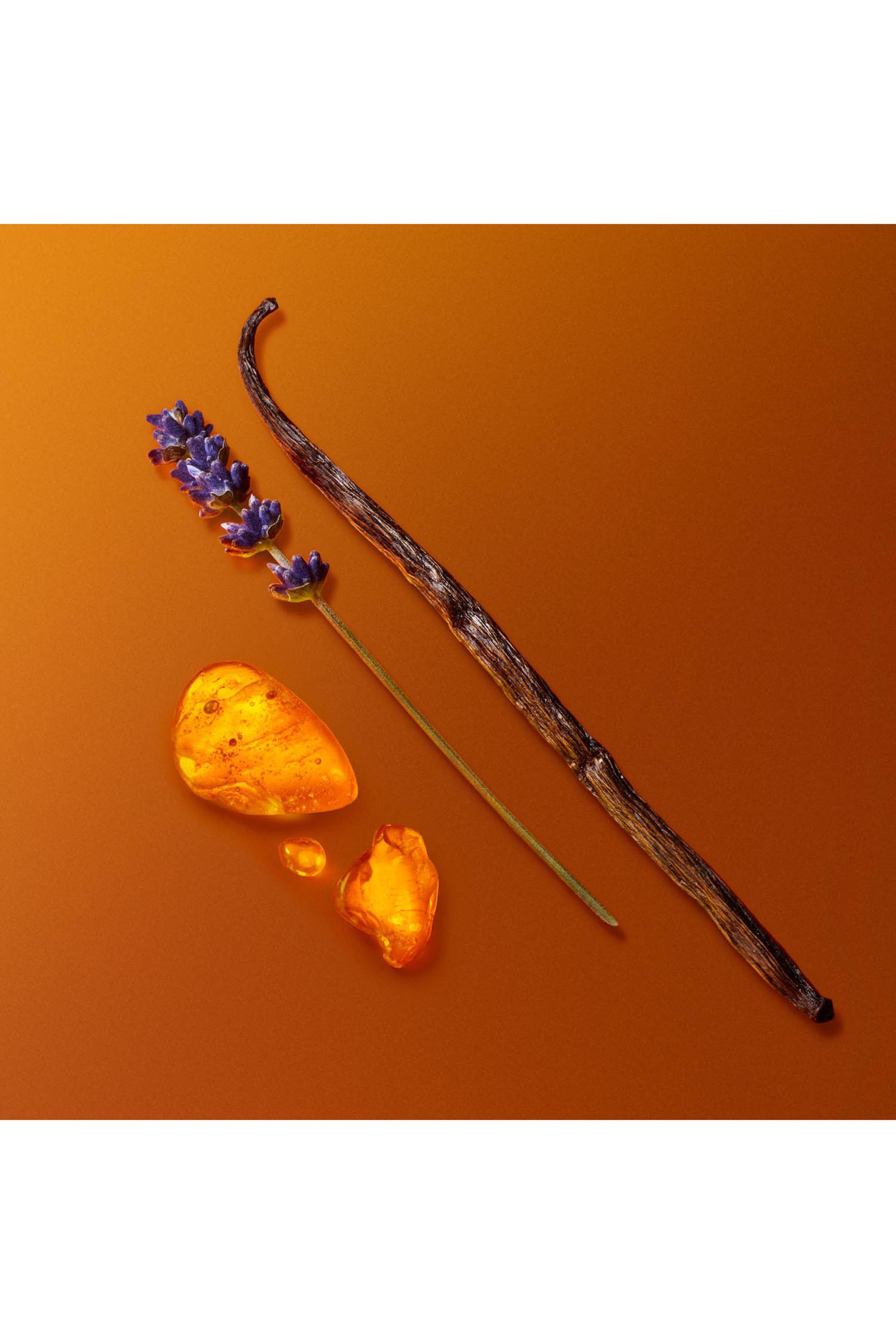 Stronger With You Amber Eau De Parfum