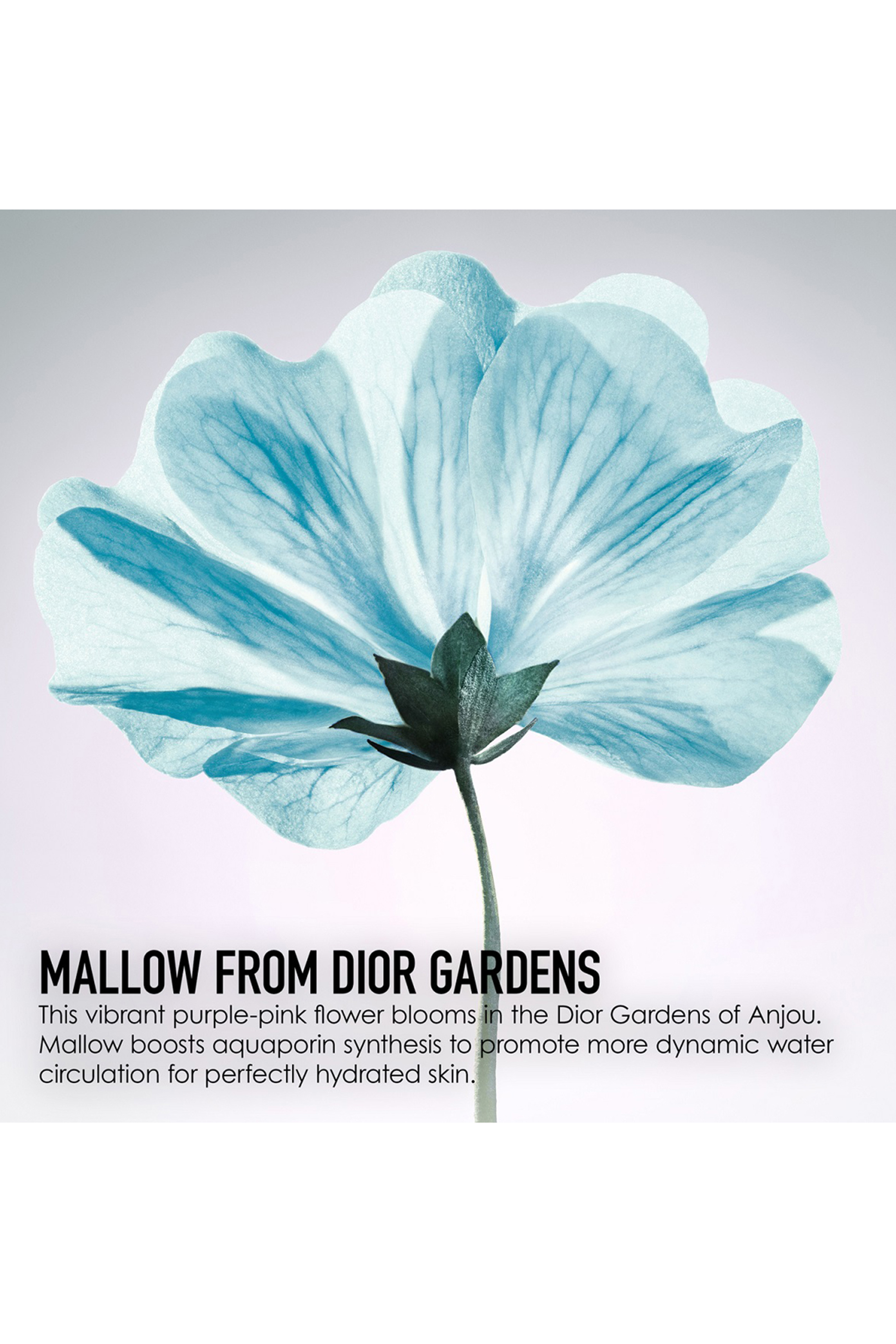 Dior Hydra Life Deep Hydration - Sorbet Water Essence