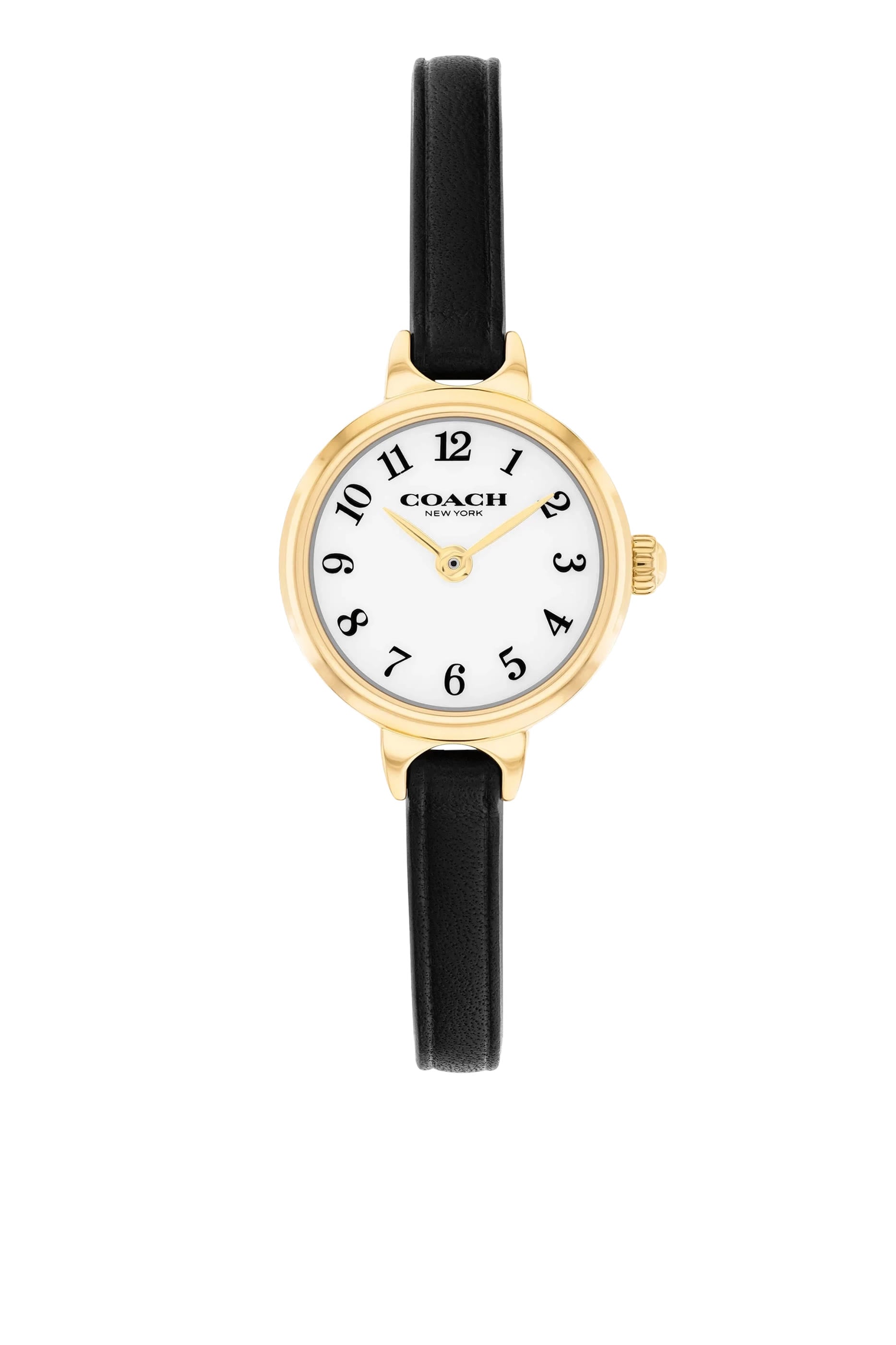  Iris Watch 