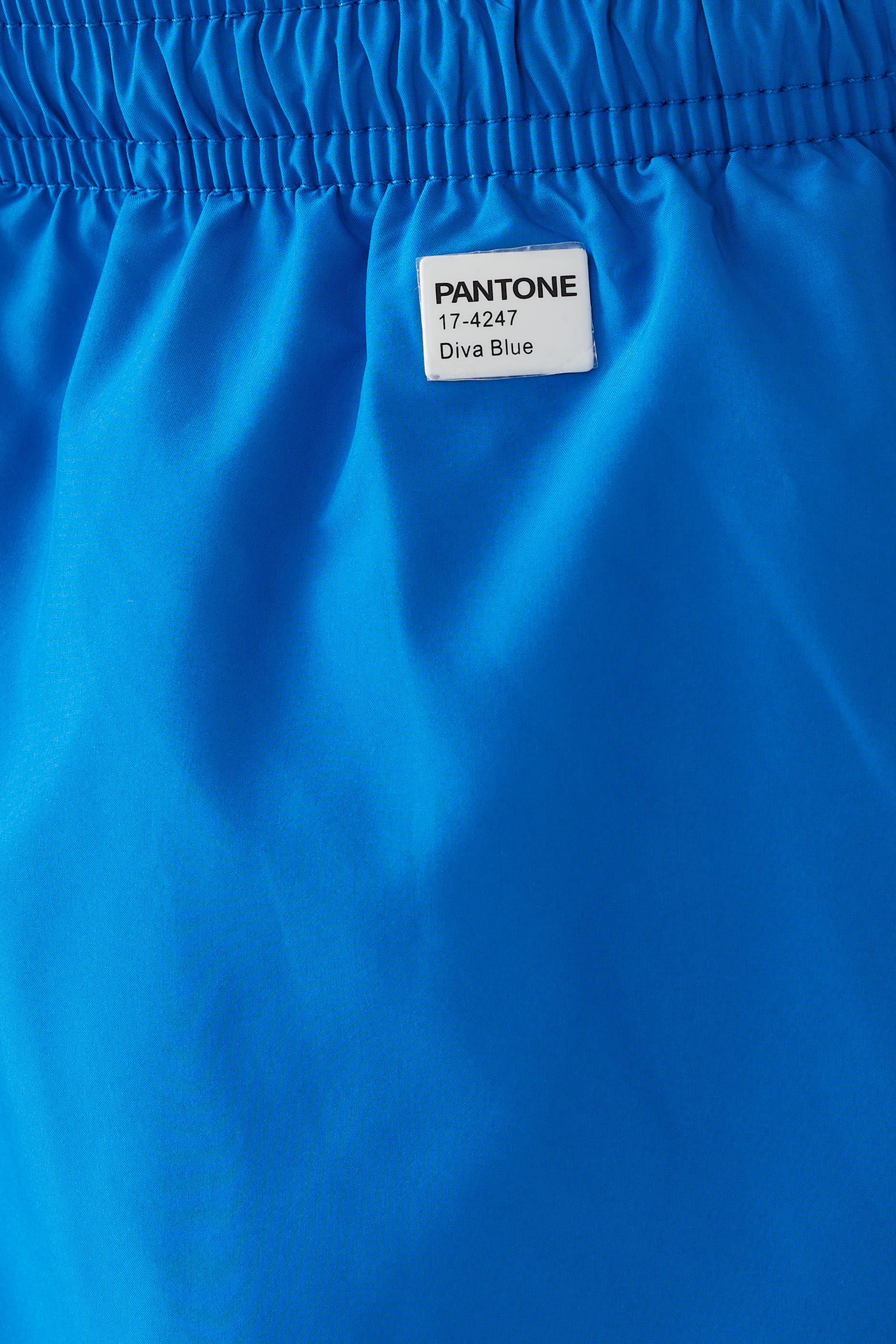 Pantone Shorts