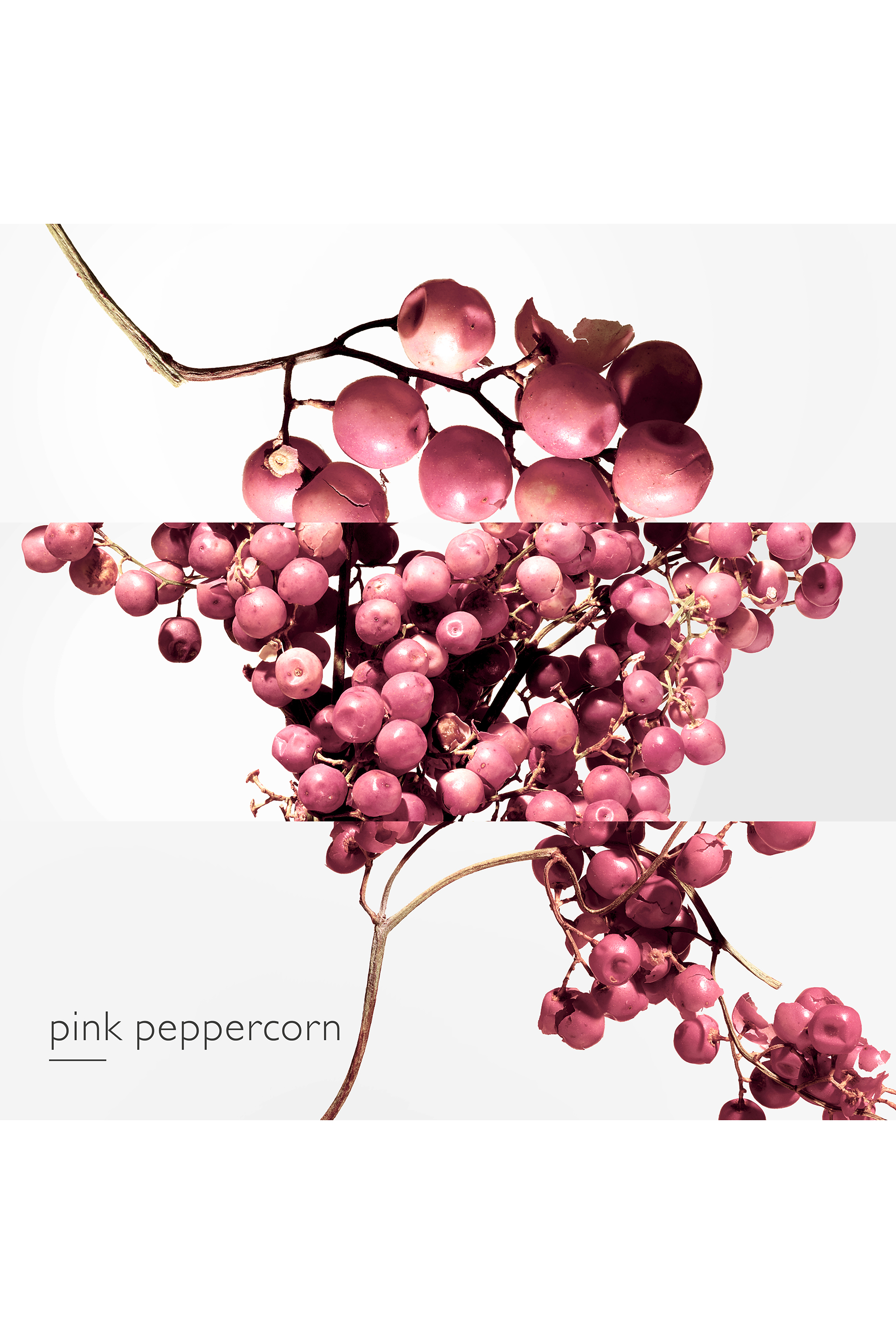 Twilly Eau Poivr&eacute;e, Eau de Parfum