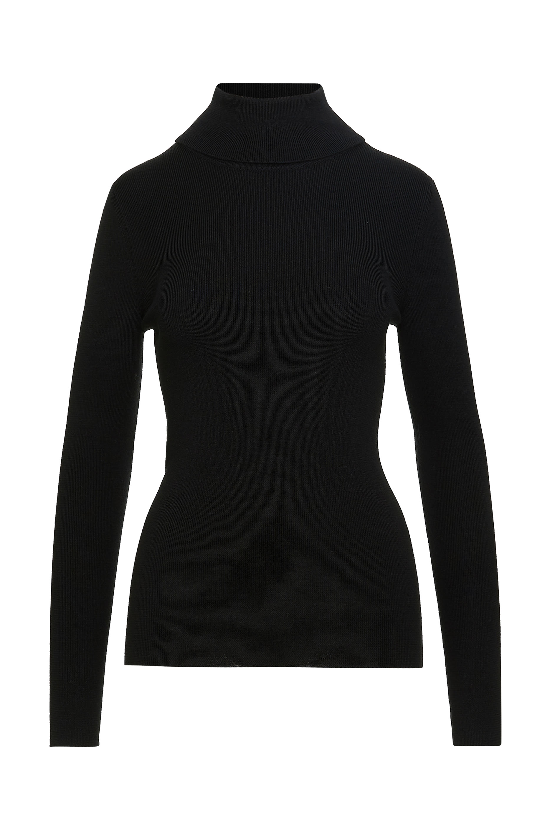 Fine Rib Knit Wool Turtleneck