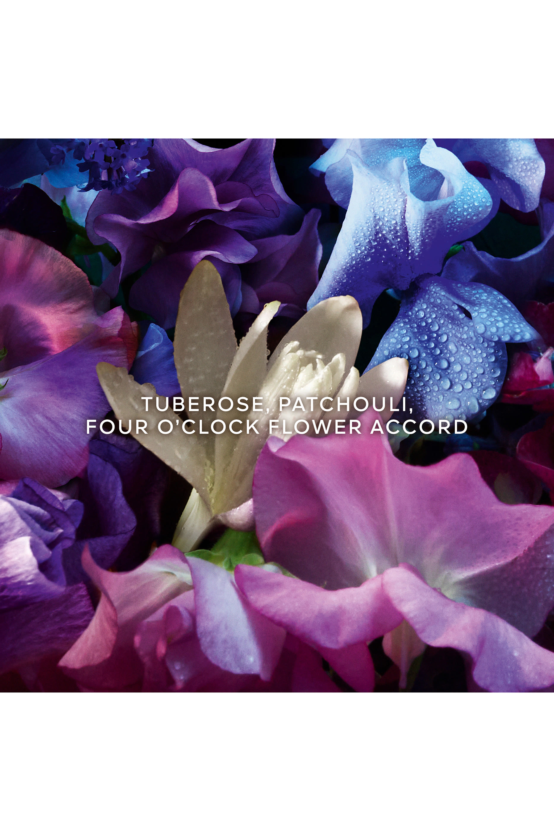 Aqua Allegoria Forte Florabloom Eau de Parfum  Christmas  Gift Set