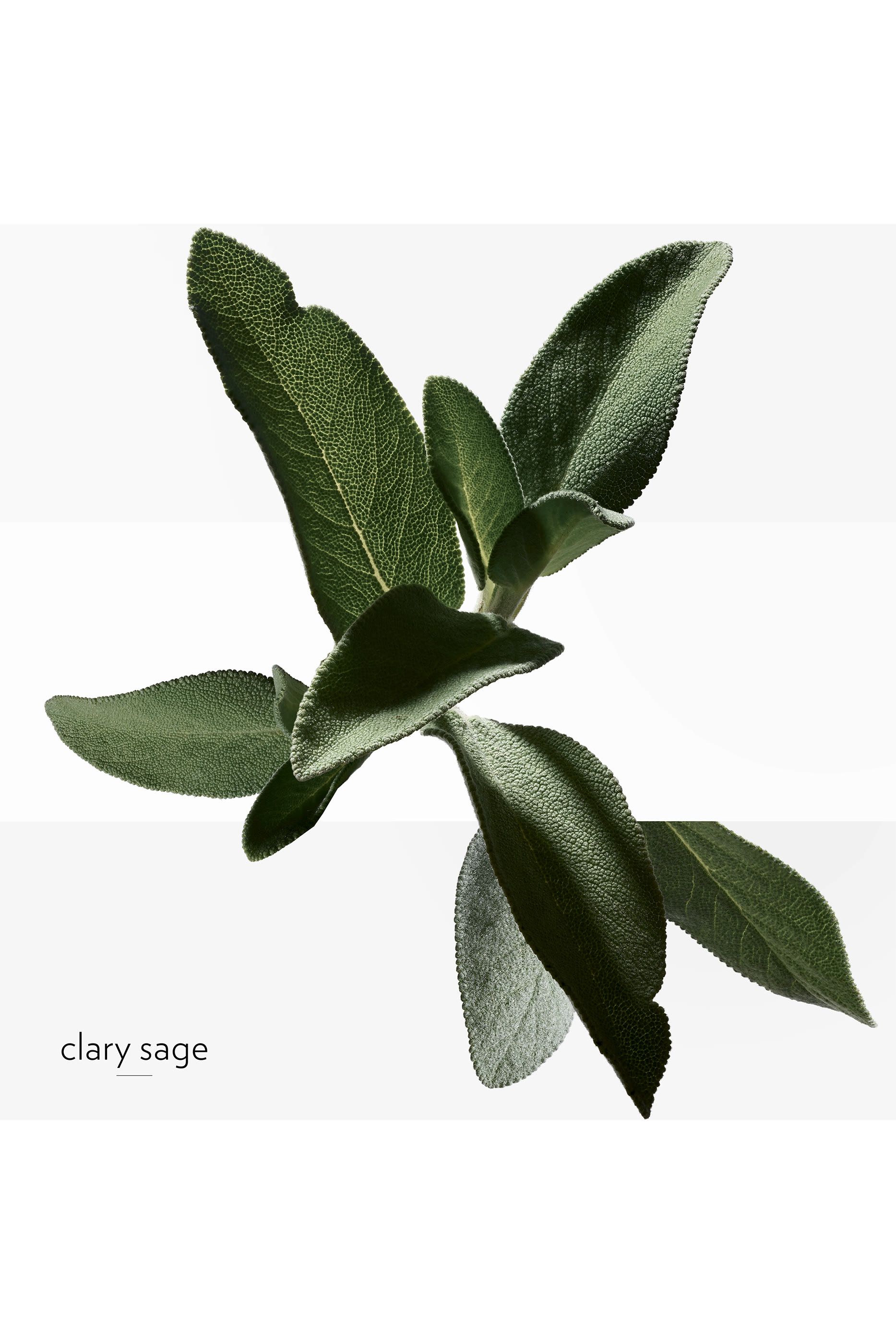 H24 Energizing Anti-Pollution Face Spray