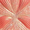 3 Corail