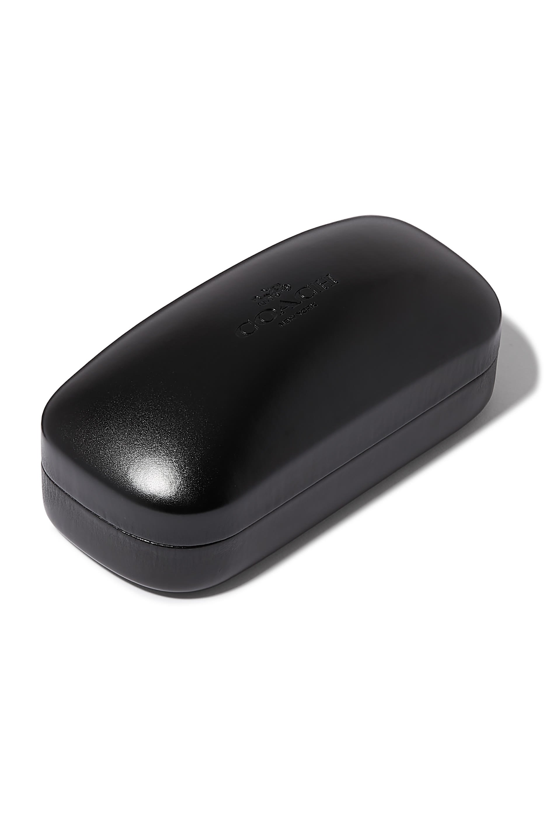 Wayfarer C Crosshatch Temple Sunglasses