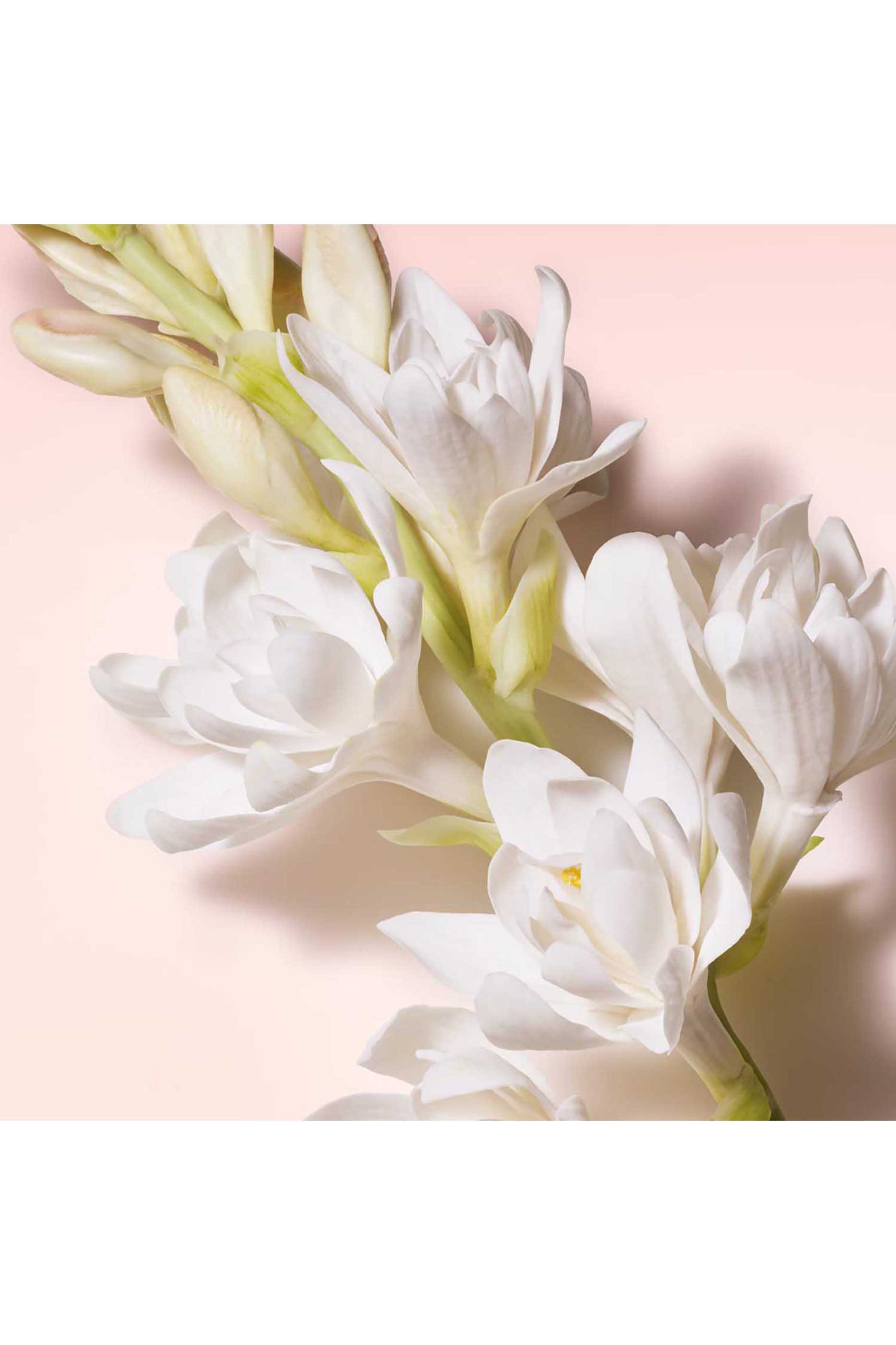 My Way Eau de Parfum Sunny Vanilla 