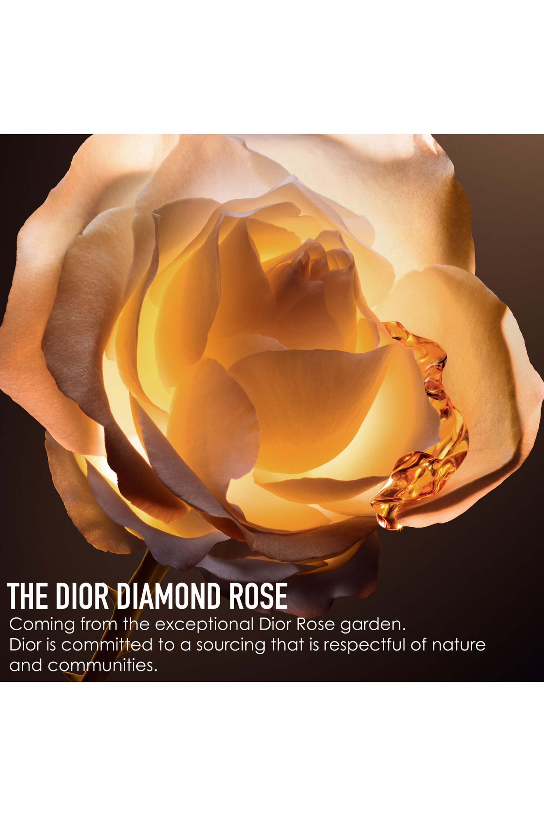 Dior Prestige Le Nectar Premiere Serum